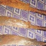 Manufacturers of machetes and knives in Tamil Nadu have been told to install CCTV cameras at their units and report criminal activities