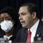 JIM CLYBURN, REP. HENRY CUELLAR, ANTI-ABORTION, Court