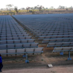 EGYPT, AFRICA, CLIMATE CHANGE, MENA