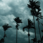 Tamil Nadu, Tamil Nadu rains, Tamil nadu rainfall alert