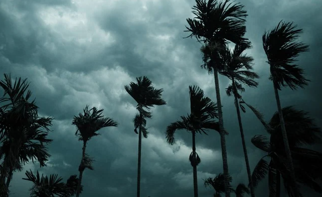 Tamil Nadu, Tamil Nadu rains, Tamil nadu rainfall alert