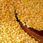 Farmers in Madurai Shift to Tur Dal Cultivation as Prices Surge