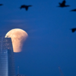 The partial lunar eclipse on September 17 coincides with the Harvest Moon. In India, it will be visible as a penumbral eclipse early on September 18.