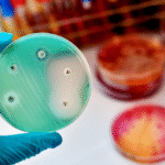 Antibiotic Resistance Testing