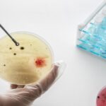 IIT Bombay Reveals How Microbes Evolve Through Nutrient Variations